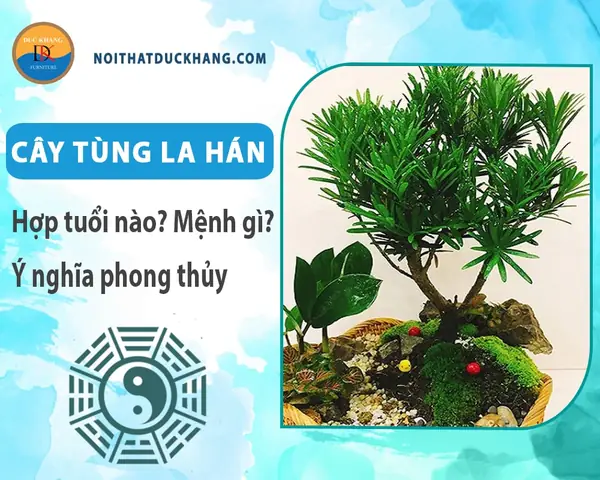 Cá La Hán Hợp Mệnh Gì