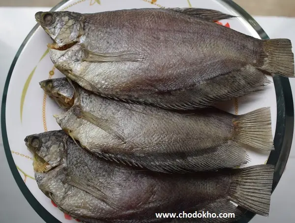 Cá Lạt Giá Bao Nhiêu