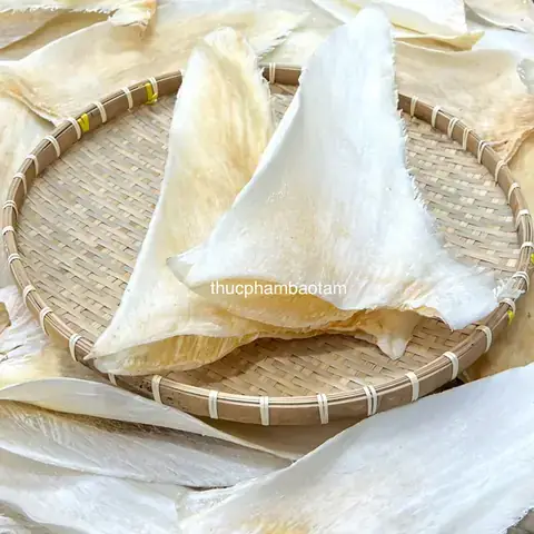 Cá Mập Vây Cao
