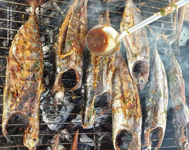 Cá Ồ Còn Gọi Là Cá Gì