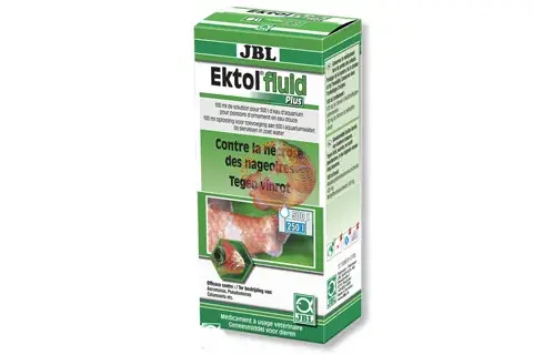 Cá Rồng Bị Lở Miệng