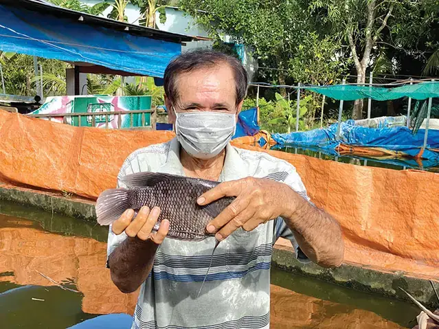 Cá Tai Tượng Bị Bệnh