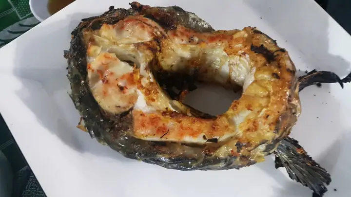 Cá Vồ Cờ Ăn Gì