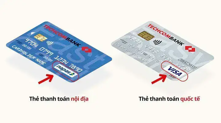 Các Giống Cá Trong Nước Và Ngoài Nước
