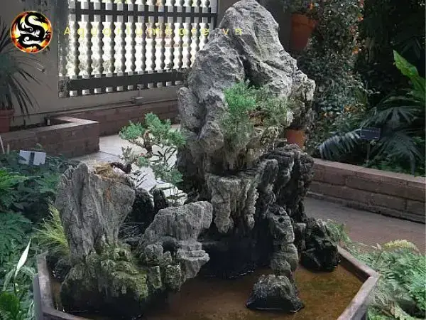 Các Loại Cá Nuôi Trong Hòn Non Bộ