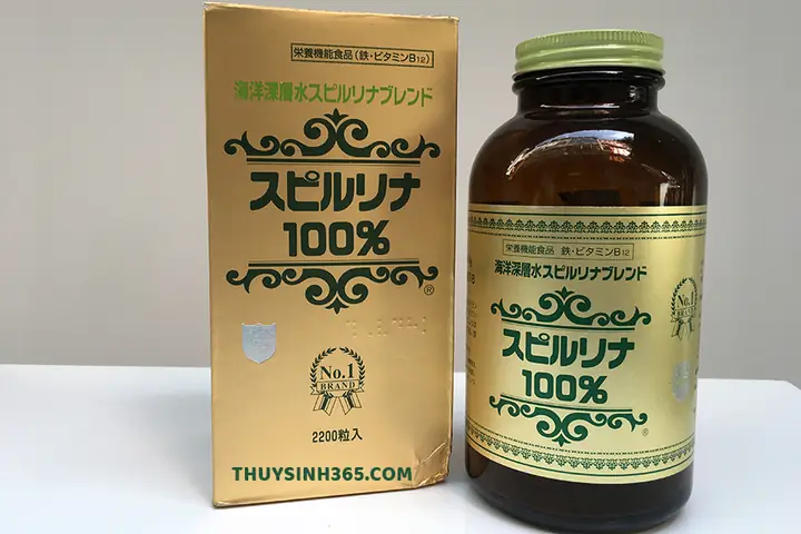 Cách Cho Cá Ăn Tảo Spirulina