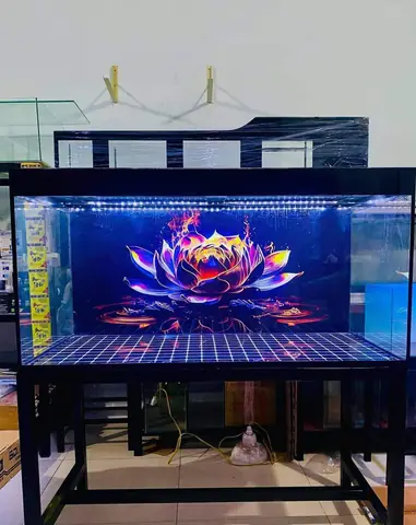 Cách Dán Tranh 3d Hồ Cá