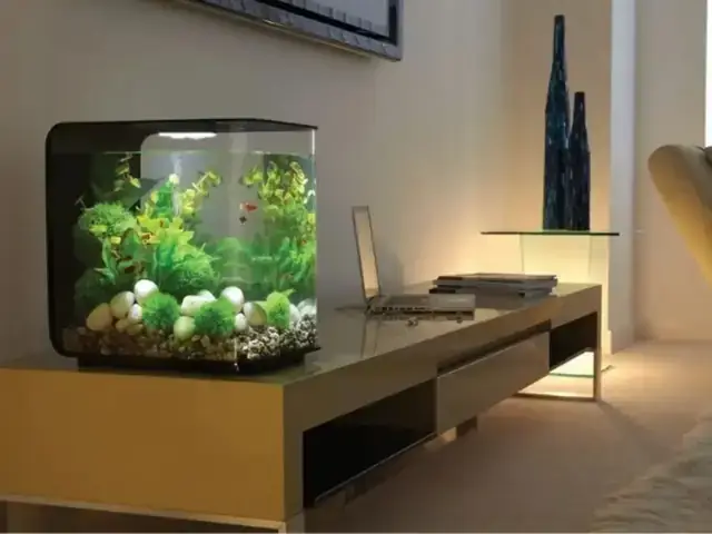 Cách Ghép Kính Bể Cá