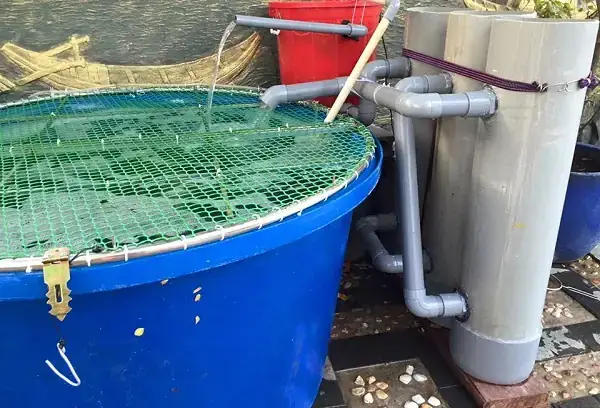 Cách Làm Lưới Đậy Hồ Cá