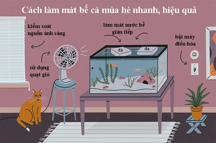 Cách Làm Mát Bể Cá