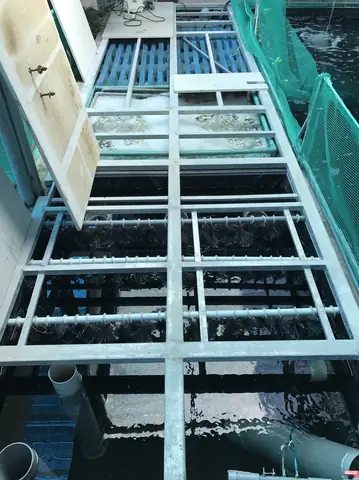 Cách Ngăn Hồ Cá