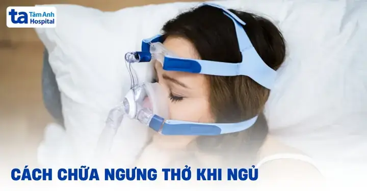 Cách Nhìn Cá Lóc Thở