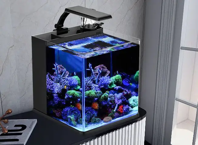 Cách Ốp Gỗ Hồ Cá