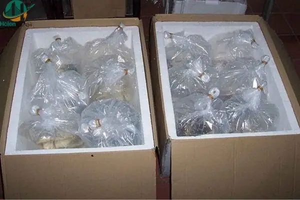 Cách Ship Cá Cảnh