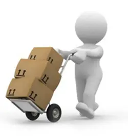 Cách Vận Chuyển Cá Bảy Màu Đi Xa