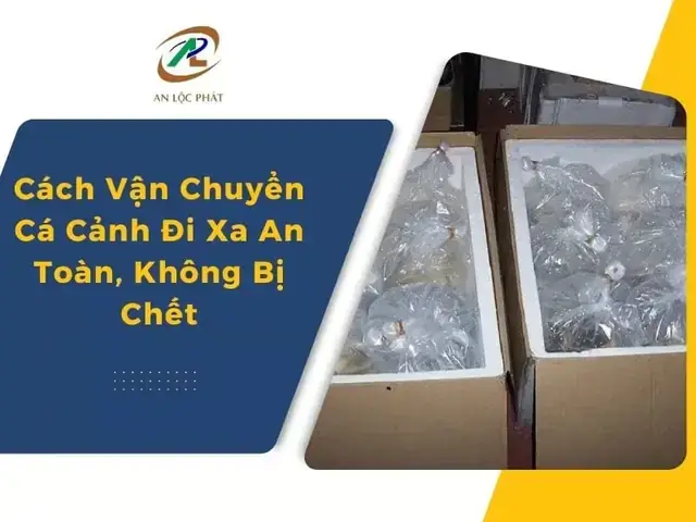 Cách Vận Chuyển Cá Giống Đi Xa