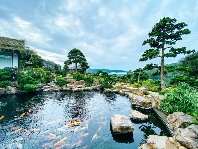 Cafe Cá Koi Ở Đà Lạt