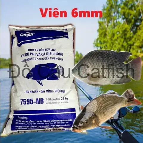 Cám Công Nghiệp Cho Cá Chép