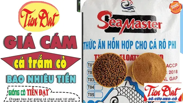 Cám Công Nghiệp Cho Cá Trắm Cỏ