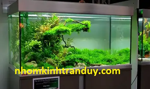 Cắt Kiếng Hồ Cá