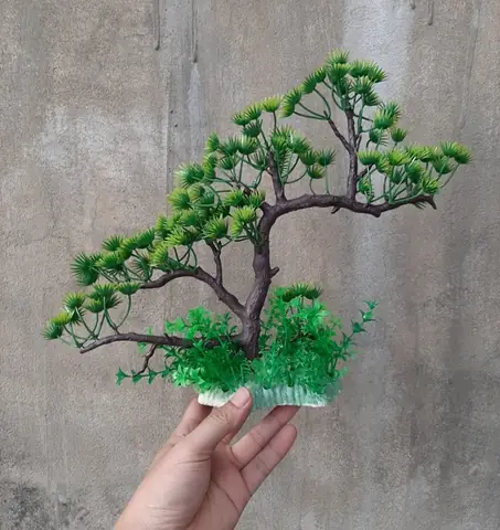 Cây Bonsai Trang Trí Bể Cá