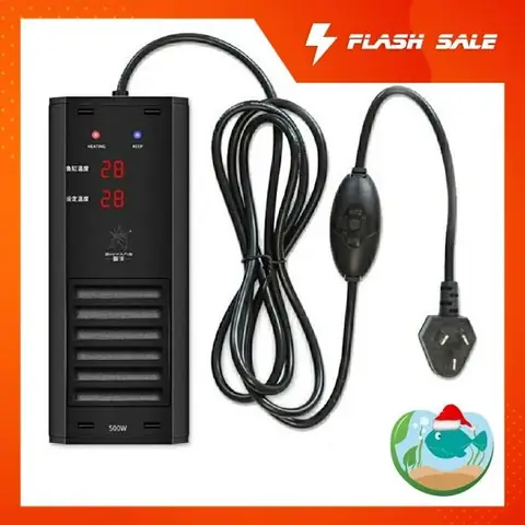 Cây Sưởi Hồ Cá Rồng