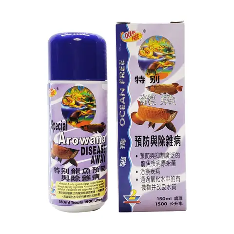 Chai Số 2 Cho Cá Rồng