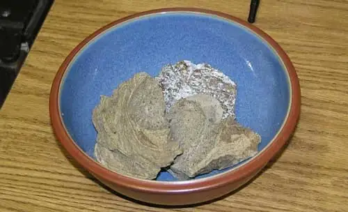 Chất Nôn Cá Voi