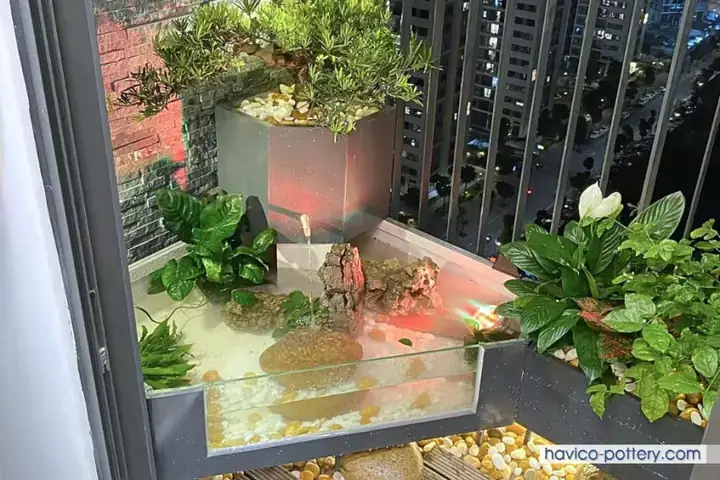 Chậu Cây Kết Hợp Bể Cá