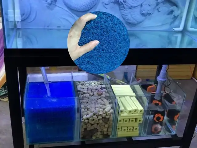 Chế Lọc Đáy Hồ Cá
