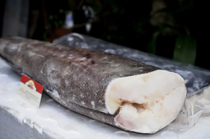 Chilean Sea Bass Là Cá Gì