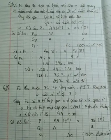 Cho Hai Giống Cá Kiếm