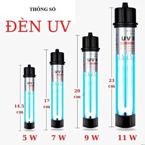 Chọn Đèn Uv Cho Hồ Cá Koi