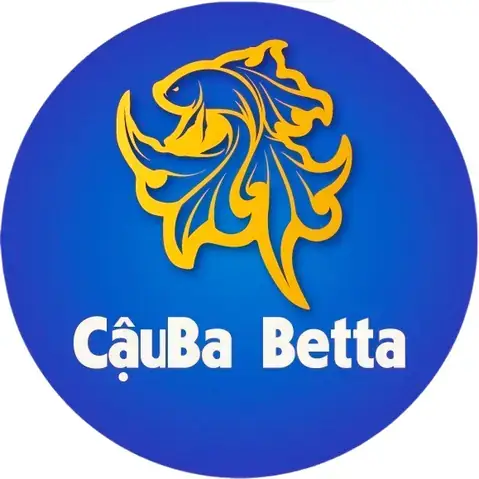 Chuyên Bán Cá Betta