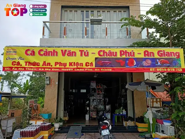 Cửa Hàng Cá Cảnh An Giang