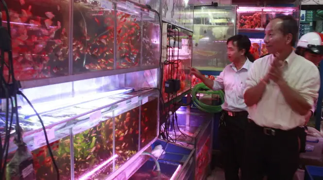 Cửa Hàng Cá Cảnh Nguyễn Thông