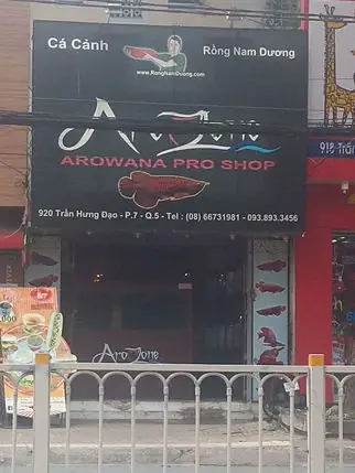 Cửa Hàng Cá Cảnh Rồng Nam Dương
