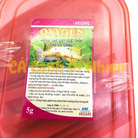 Cung Cấp Oxy Cho Cá