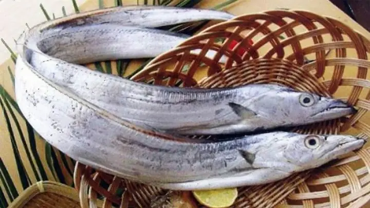 Cutlassfish Là Cá Gì