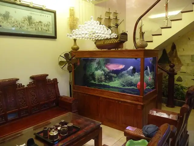 Đặt Bể Cá Cạnh Bàn Thờ Đặt Bể Cá Cạnh Bàn Thờ