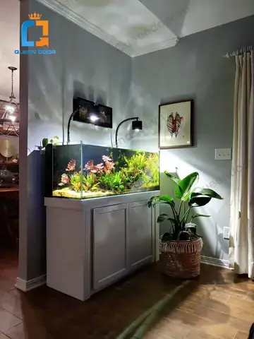 Đặt Bể Cá Đối Diện Cửa Ra Vào Đặt Bể Cá Đối Diện Cửa Ra Vào