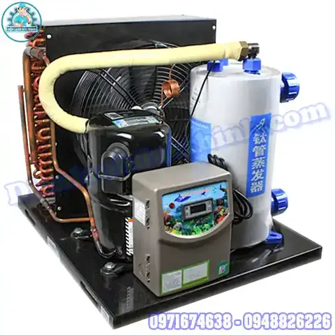 Đặt Làm Hồ Cá Giá Rẻ Đặt Làm Hồ Cá Giá Rẻ