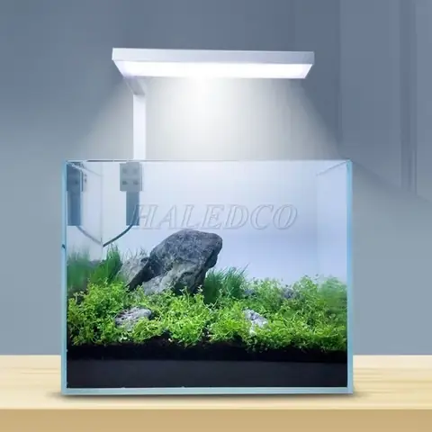 Đèn Kẹp Hồ Cá Giá Rẻ