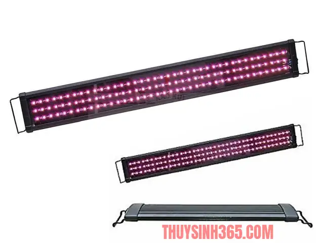 Đèn Led Beamswork Cho Cá Rồng Đèn Led Beamswork Cho Cá Rồng