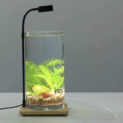 Đèn Led Cho Bể Cá Tròn