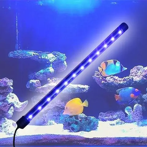 Đèn Led Xanh Cho Bể Cá Đèn Led Xanh Cho Bể Cá