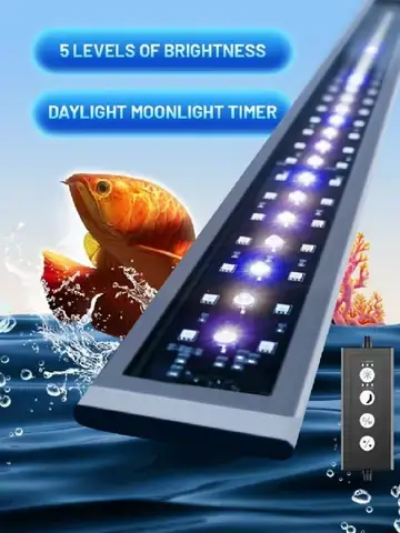 Đèn Magic Led Cho Cá Rồng Đèn Magic Led Cho Cá Rồng