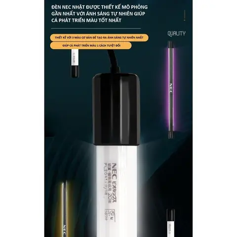 Đèn Nec Tanning Cá Rồng Đèn Nec Tanning Cá Rồng