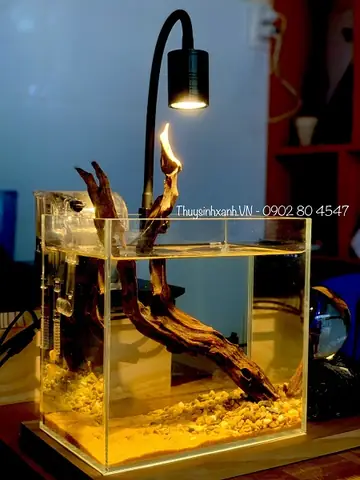 Đèn Soi Hồ Cá