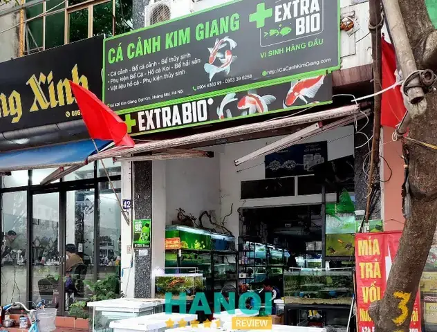 Địa Chỉ Bán Cá Chọi Ở Hà Nội Địa Chỉ Bán Cá Chọi Ở Hà Nội